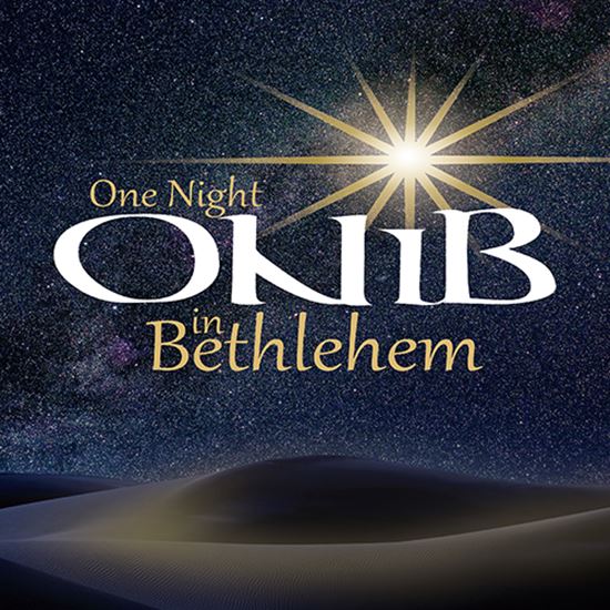 Picture of One Night In Bethlehem cover art.