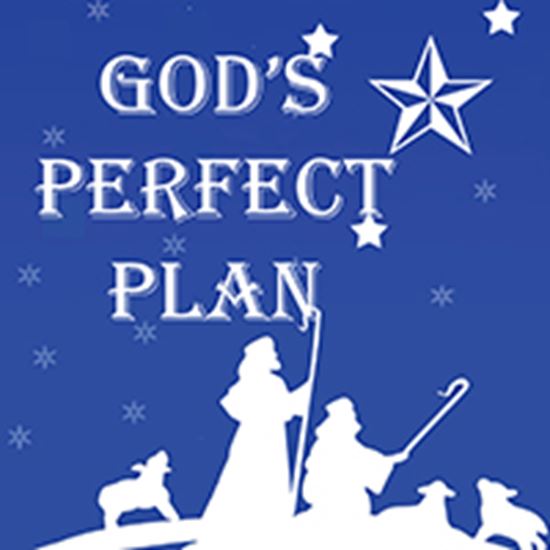 Picture of God's Perfect Plan cover art.