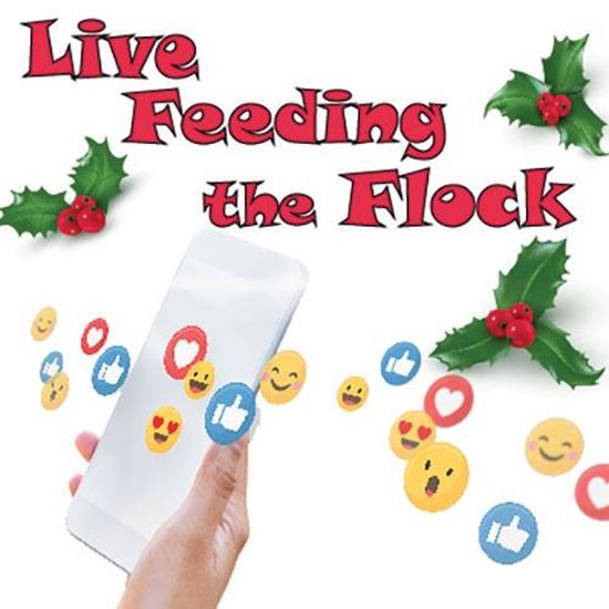 live-feeding-the-flock