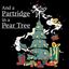and-a-partridge-in-a-pear-tree
