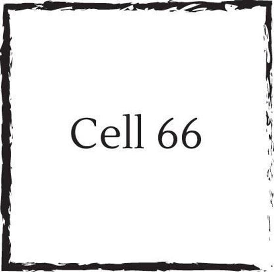 cell-66