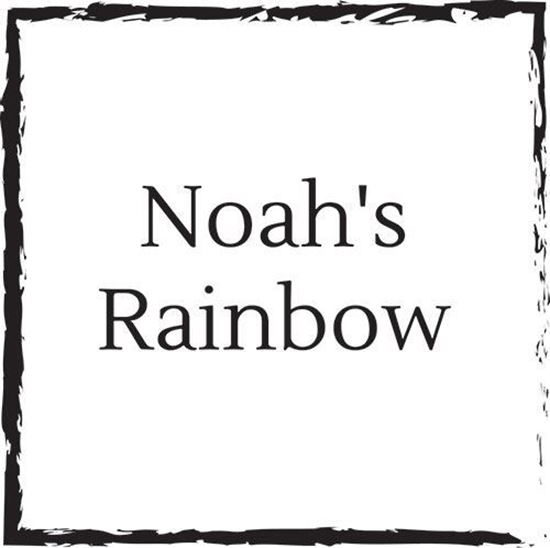 noahs-rainbow